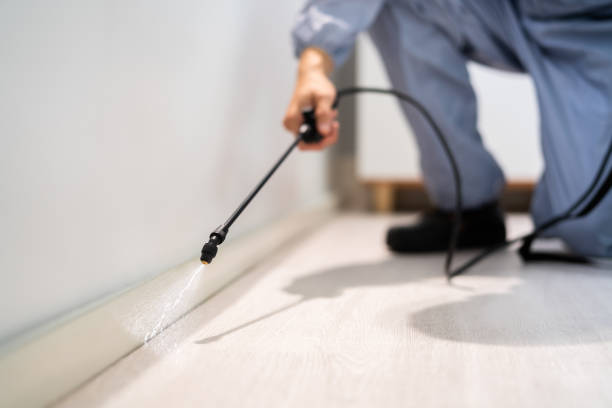 Licensed Pest Control service in Rice County County, KS - Nex Pest Control