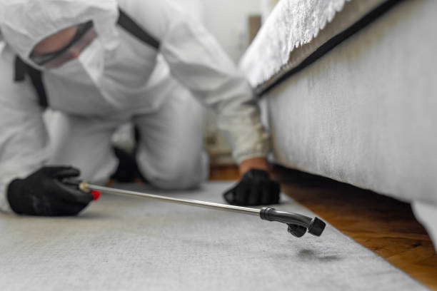 Professional Pest Control technician working in Rice County County, KS